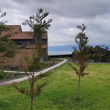 Apartment Ca Por Casa Pico-criptomeria Prainha (Sao Roque do Pico)