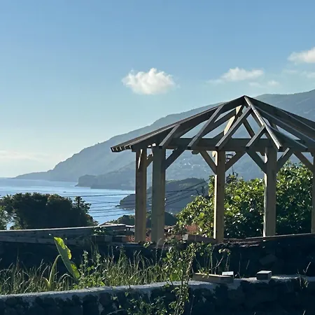 Ca Por Casa Pico-criptomeria Prainha (Sao Roque do Pico)