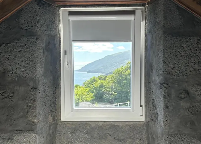 Ca Por Casa Pico-criptomeria