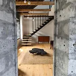 Apartmán Ca Por Casa Pico-criptomeria Prainha (Sao Roque do Pico)