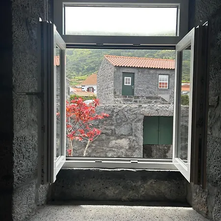 Apartment Ca Por Casa Pico-criptomeria Prainha (Sao Roque do Pico)