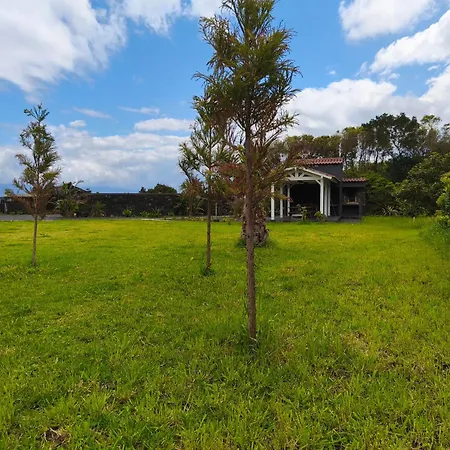 Apartamento Cá Por Casa Pico-criptoméria *