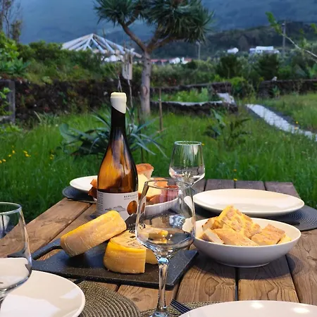 Ca Por Casa Pico-criptomeria Apartment