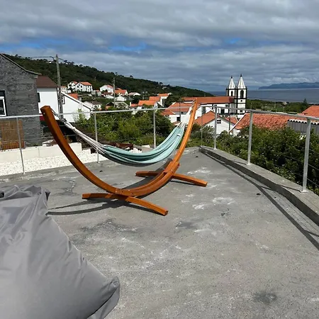 Cá Por Casa Pico-criptoméria