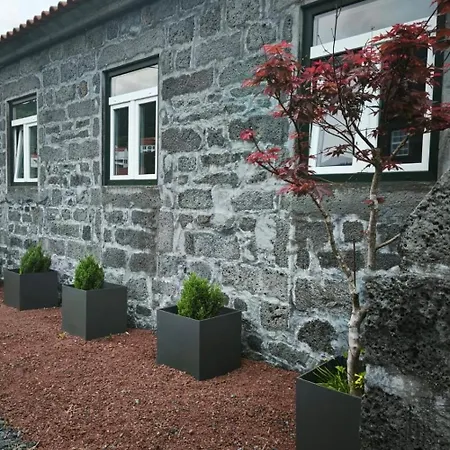 Ca Por Casa Pico-criptomeria