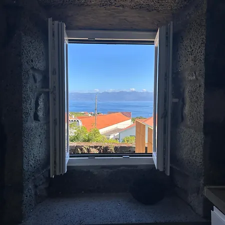 Ca Por Casa Pico-criptomeria