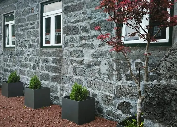 Ca Por Casa Pico-criptomeria