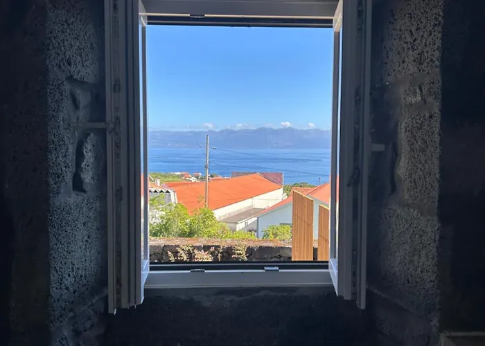 Ca Por Casa Pico-criptomeria